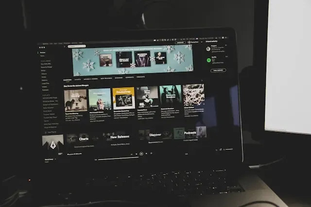 Ziel-Playlists, Playlist-Identifizierung, Zielgruppenansprache